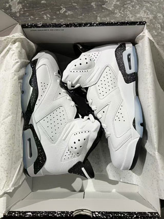 Air Jordan 6 Retro-7