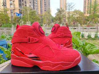 Air Jordan 8 Retro-10