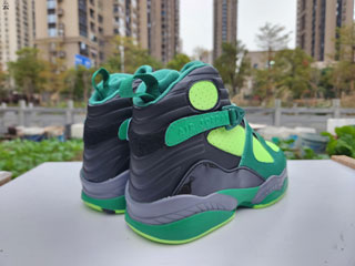 Air Jordan 8 Retro-19