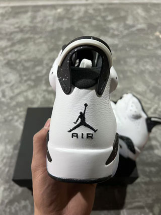 Air Jordan 6 Retro-3